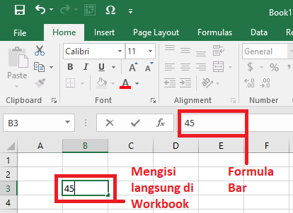 Cara Memasukkan Data pada Sel
