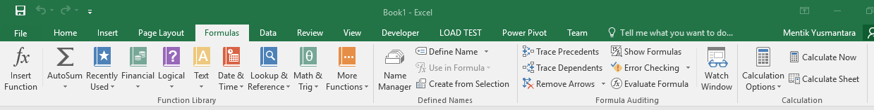 secara default disembunyikan pada Microsoft Excel Bagian, Fungsi dan Pengertian Ribbon Pada Microsoft Excel