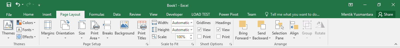 secara default disembunyikan pada Microsoft Excel Bagian, Fungsi dan Pengertian Ribbon Pada Microsoft Excel