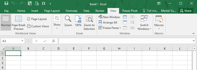 Menu View pada Microsoft Excel 2016