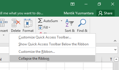 collapse the ribbon pada Excel