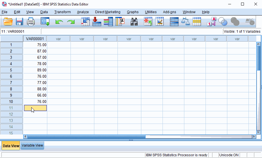 Variable View SPSS