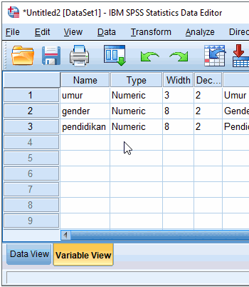 input data kuesiner dengan SPSS