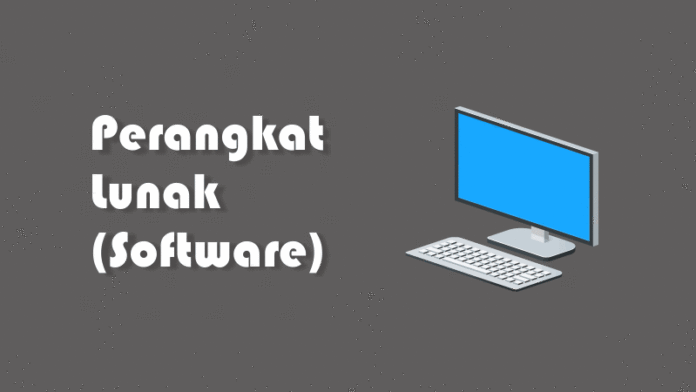 Apa itu Software atau Perangkat Lunak Komputer dan Jenisnya