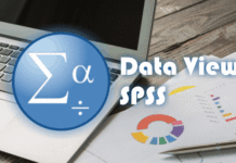Pengertian Data View pada SPSS dan Penggunaanya