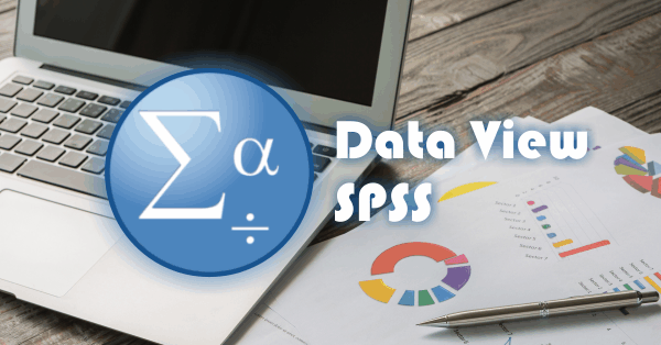 Pengertian Data View pada SPSS dan Penggunaanya