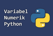 Membuat Variabel pada Python dengan Tipe Data Numerik