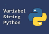 Penulisan dan Penggunaan String pada Python