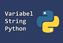 Penulisan dan Penggunaan String pada Python