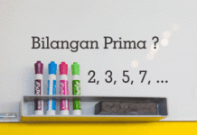 Pengertian Bilangan Prima dan Contoh Bilangan