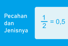 Pecahan - Pecahan Biasa, Tidak Biasa, dan Campuran + Mengubahnya