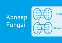 Fungsi - Pengertian Fungsi, Konsep, Diagram, dan Perbedaan Non-Fungsi