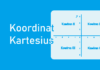 Koordinat Kartesius - Pengertian, Sistem, Kuadran, dan Titik Koordinat